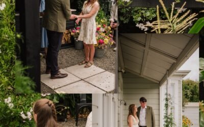 A Beginning Beneath the Karaka