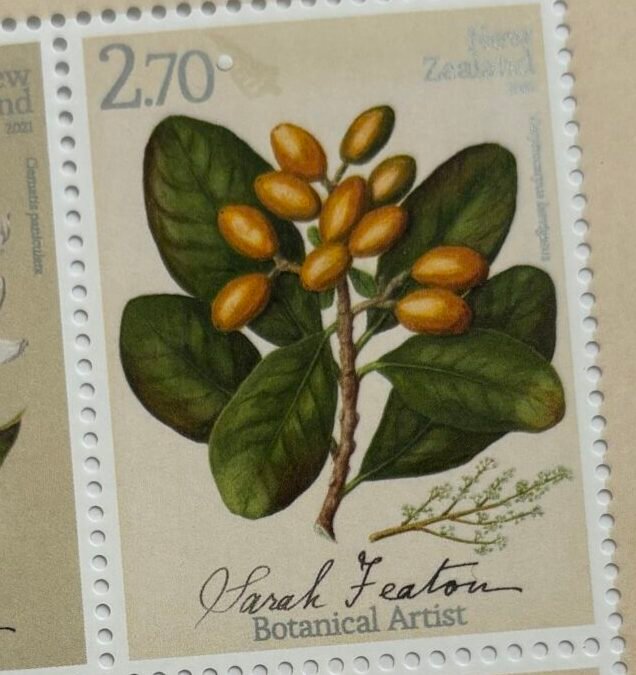 The Karaka Tree